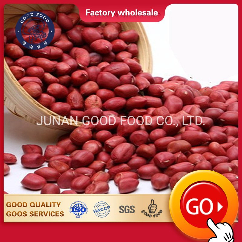 Hot Sale Peanut and Groundnut Without Shell Peanut