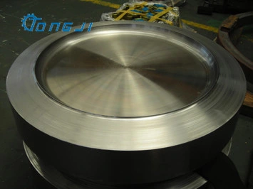 Hot Selling for F316ti (UNS S31635, 18Cr, 8Ni, Mo, Ni) Forgings