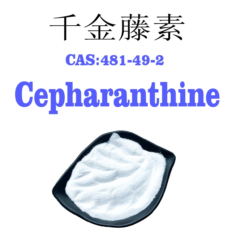 Suministro de la fábrica Sheerherb Stephania Japonica extraer 98% puro polvo Cepharanthine CAS 481-49-2