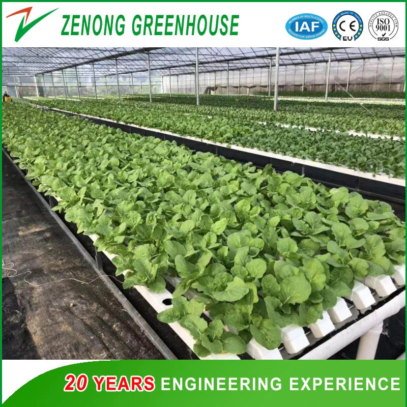 Factory Supply High Tech Hydroponics System Agriculture Planting Greenhouse Materials