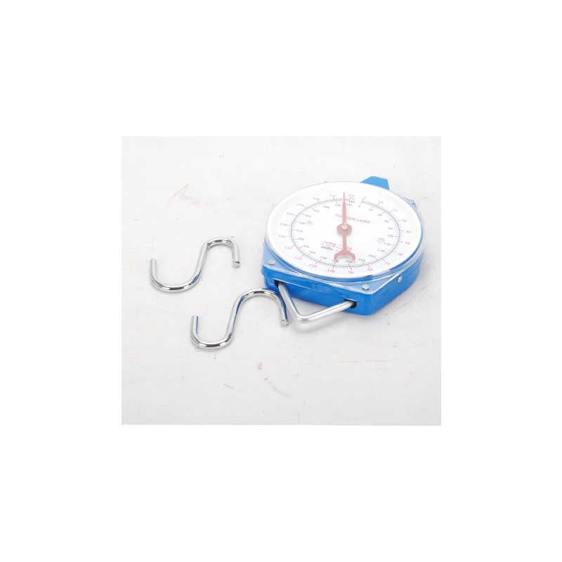 Display Zy-006 Weighing Salter Hanging Scale