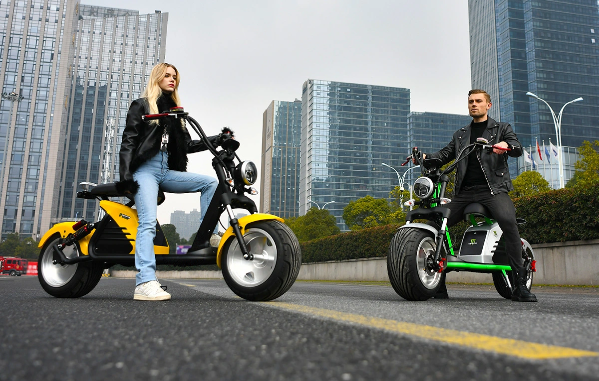 2000W/3000W 10 pouces/12 pouces Scooter électrique Citycoco pour adultes Nouvelle moto électrique EEC.