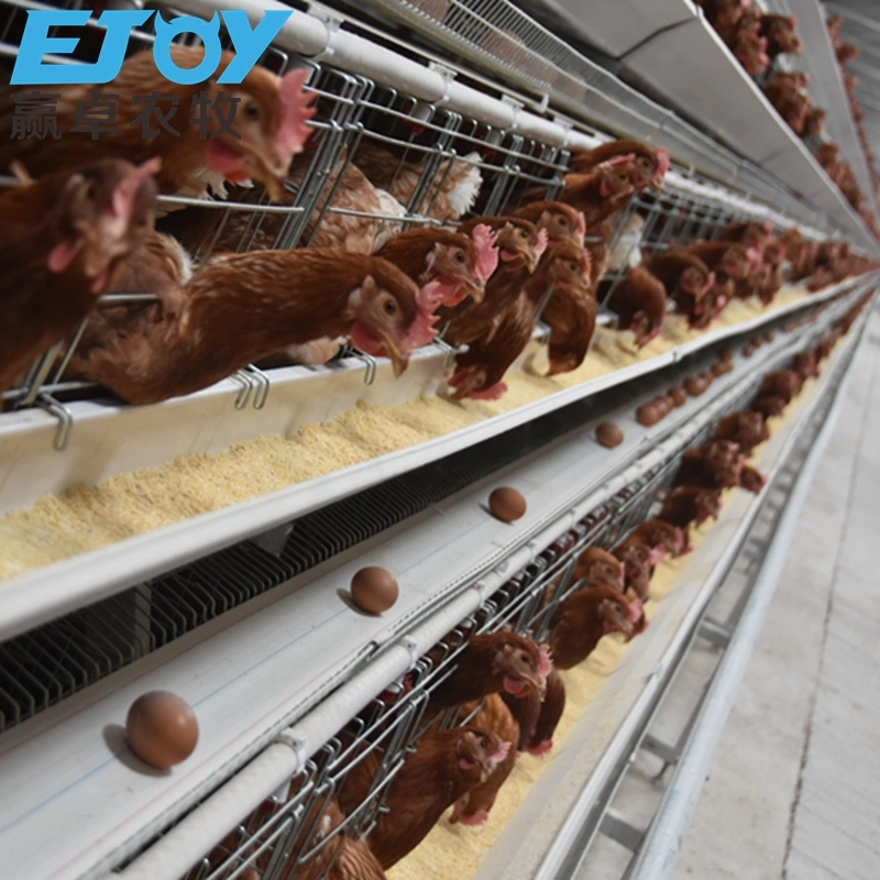 Chicken Farm Design Poultry Equipment Battery Chicken Cage Layer Cage