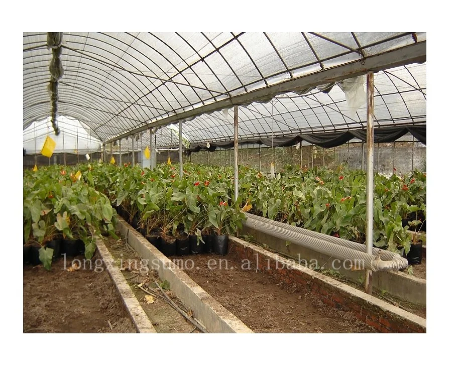 Plastic Film Greenhouse Heat Resistant Film for Greenhouses Anti Drip Woven Greenhouse Film Polycarbonate Plastic