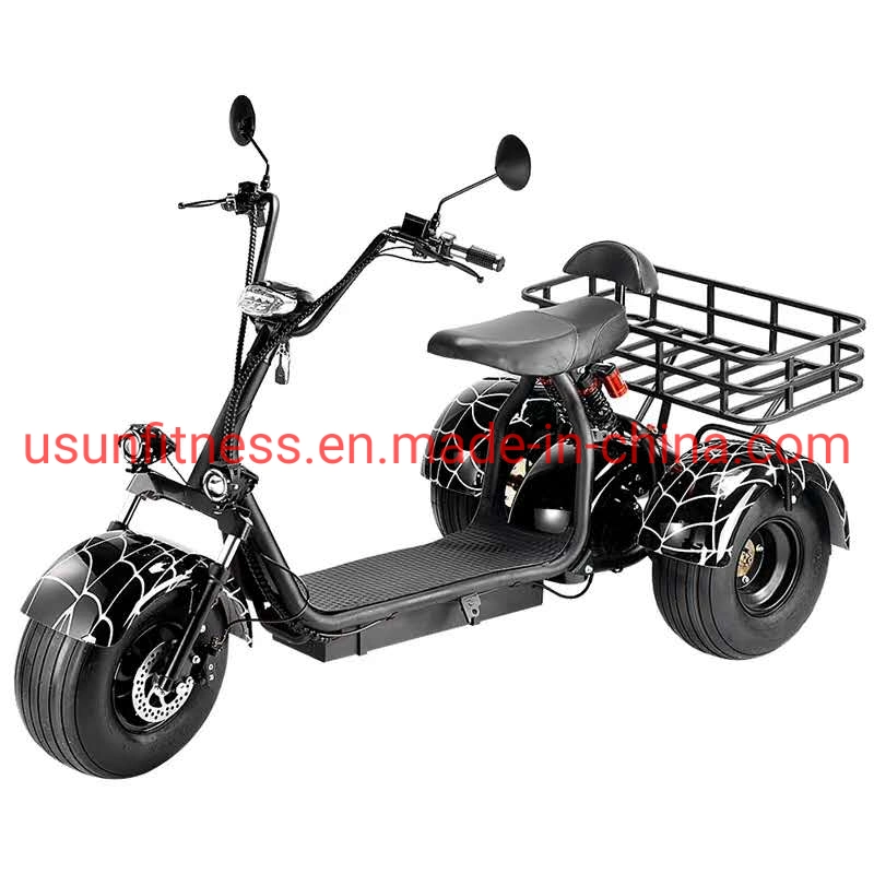 Special Vehicles for Farms and Gardens Electric 3 Wheel Scooter Electric Tricycle Cargo with CE