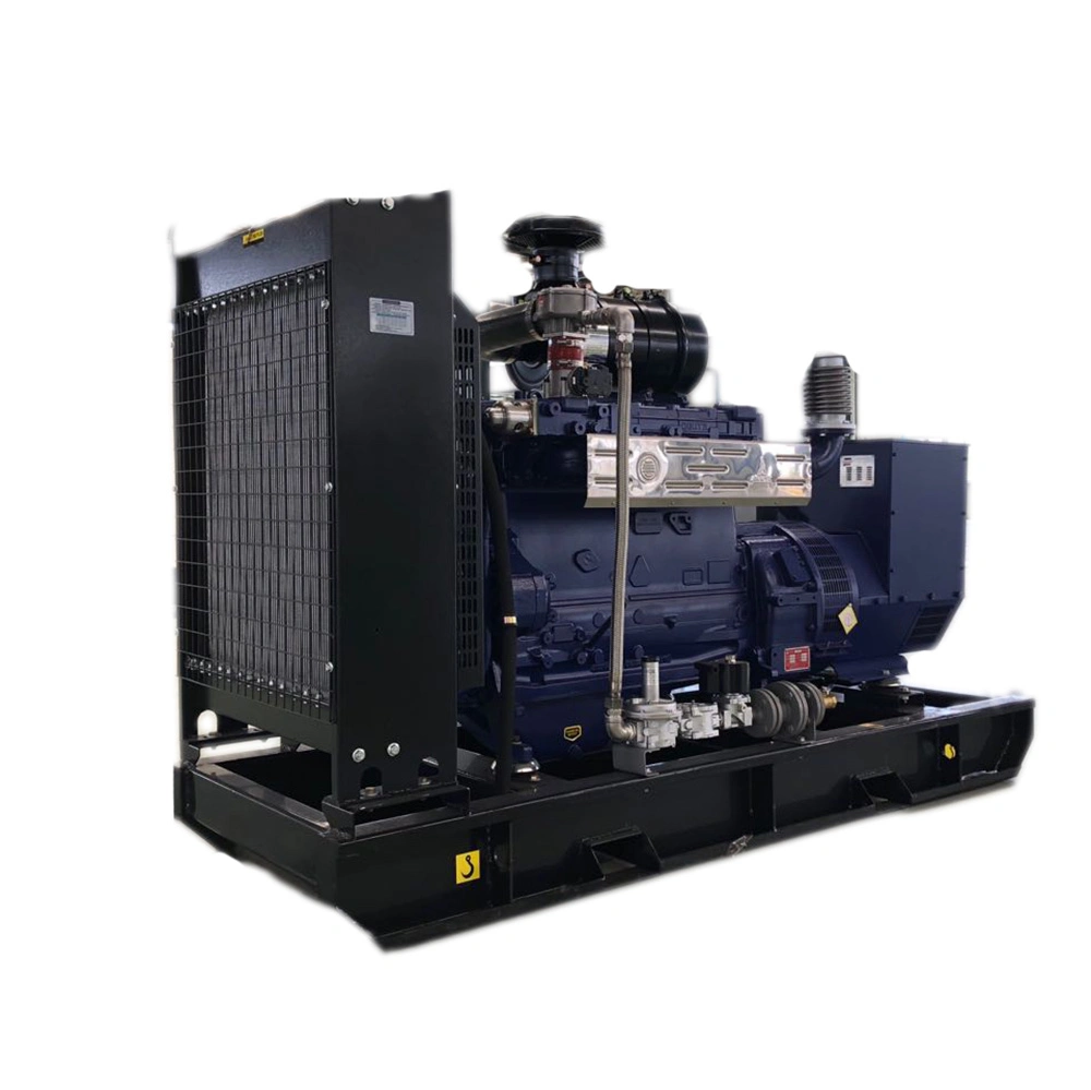 Industrial Commercial Gas Generator Europe