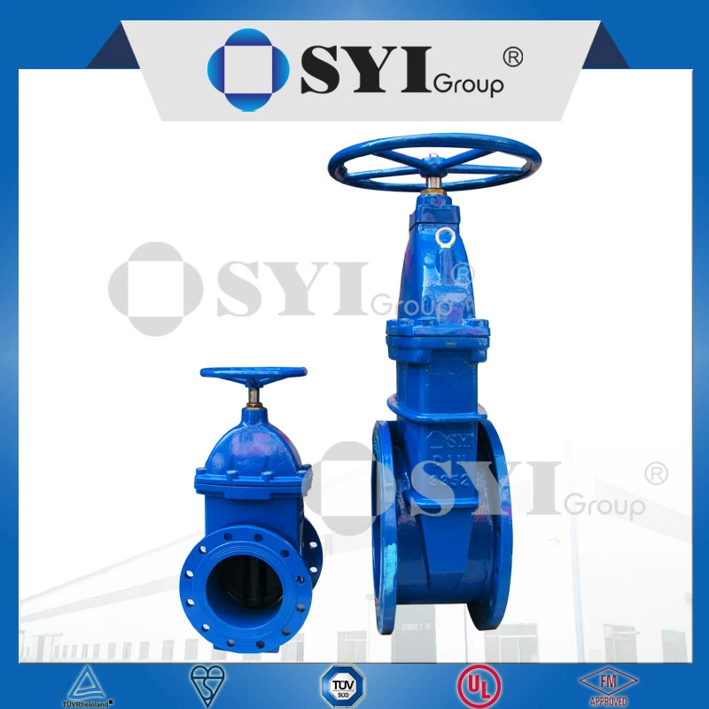 ISO 9001 Ductile Iron Gate Valve Manufacturer