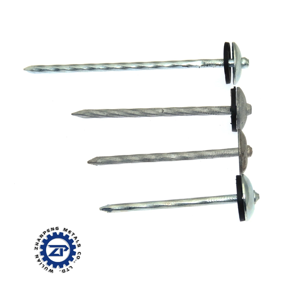 Factory Manufactured Cheap Price 3.125kg/Box X 8boxes/CTN 10bwgx2 1/2" 12bwgx2" Galvanized Roofing Nails with Smooth Shank Umbrella Head for Africa Market