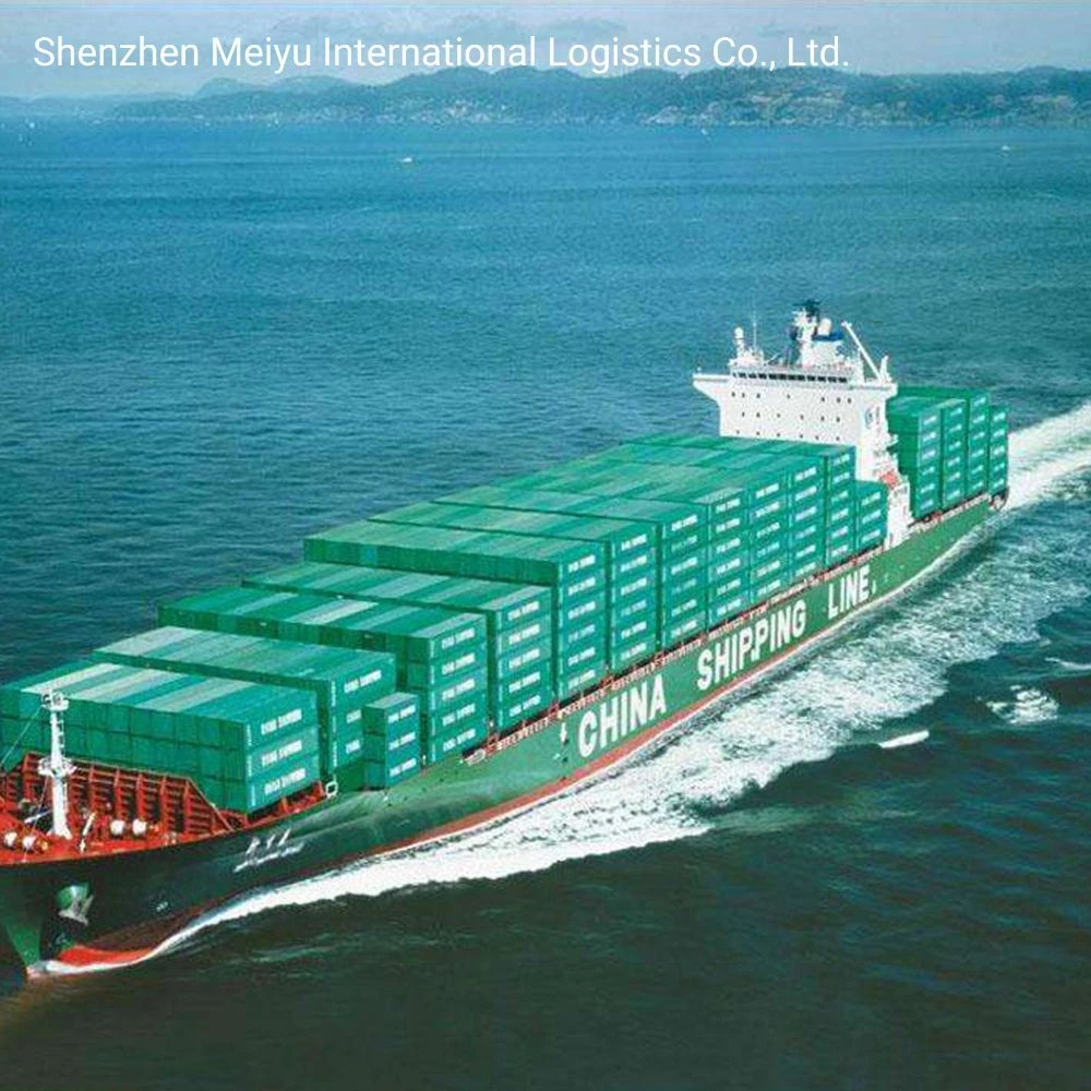 Sea Freight Logistics Ocean Forwarder Shipping Agent From China Shenzhen to Dubai