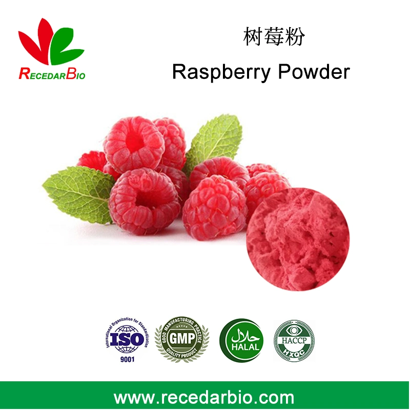 Natural Spray Drying Water Soluble Fruit Powder Raspberry Powder