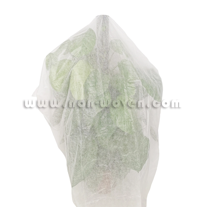 Les fruits Sac de protection UV La couverture du sol Tissu Non tisse la couverture du sol agricole