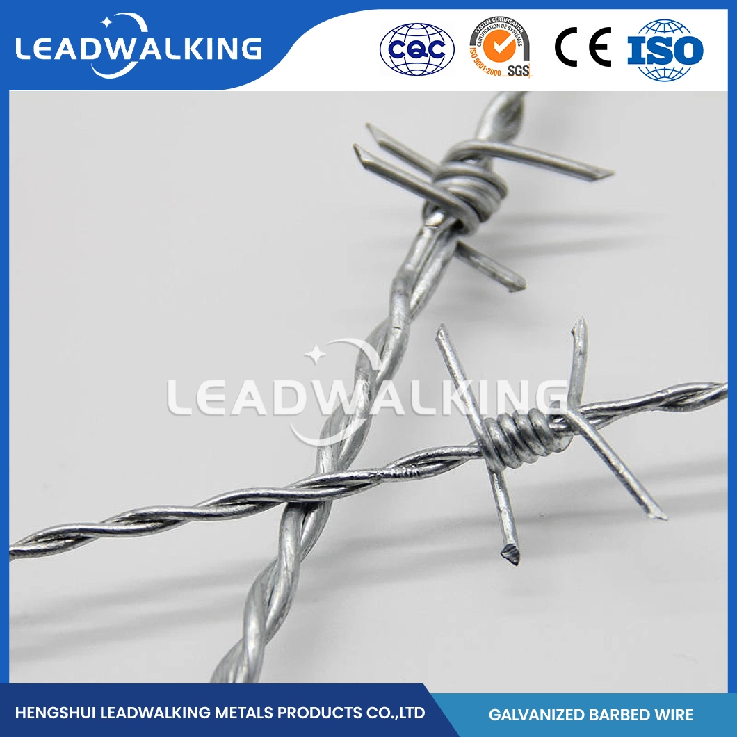 Leadwalking Auto Barbed Wire proveedores ODM Custom Zinc-Coated Barbed Wire China 19 hilos alambre de acero alambre de barba galvanizado en caliente