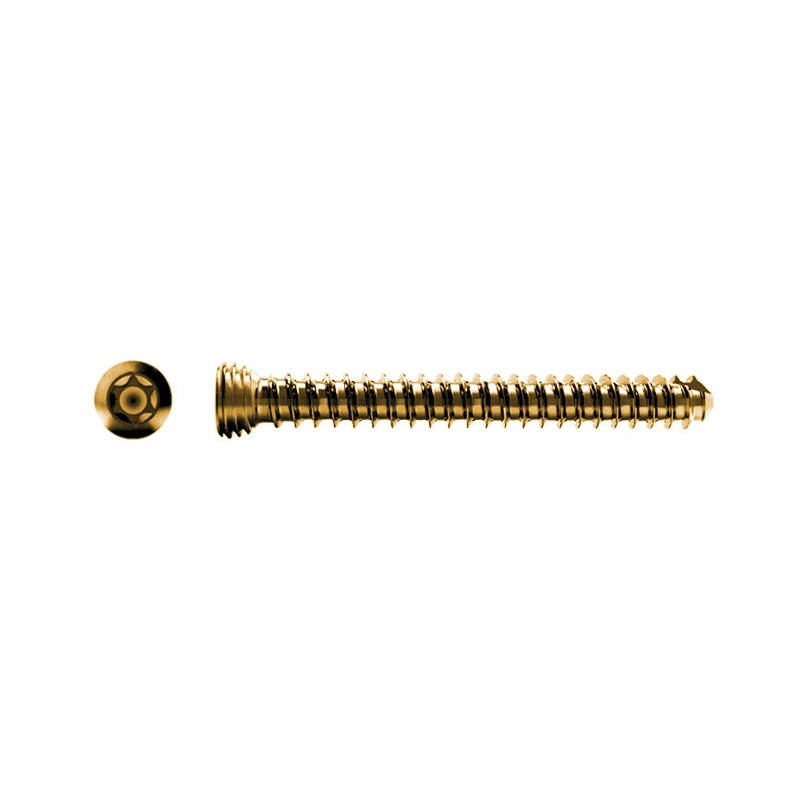 &Fcy; 2.0mm Cortex/Cortical Screw Orthopedic Implants Products Bone Screws