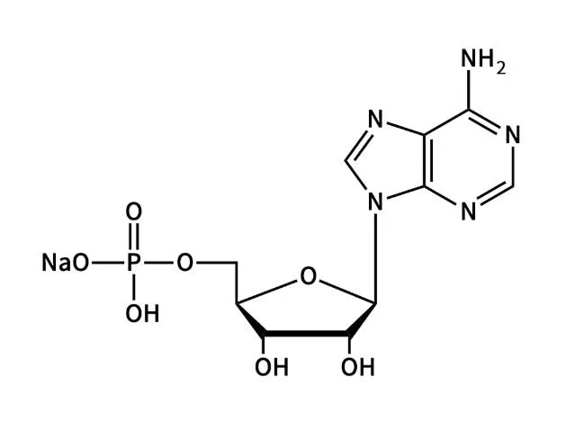 High-Quality 5'-AMP Sodium Salt; Adenosine 5'-Monophosphate Sodium Salt; Sodium 5'-O- (hydroxyphosphinato) Adenosine CAS: 13474-03-8