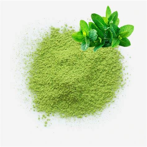 Fresh Healthy Supplement Instant Green Tea Mint Flavour Matcha Powder Weight Loss Product