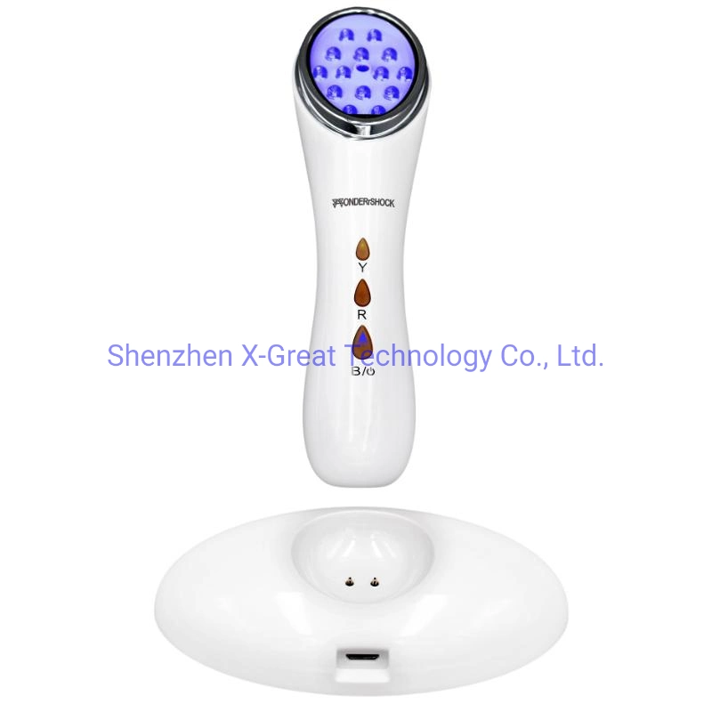 2020 LED Photon Red Blue Light Therapy Equipment Face Skin Rejuvenation Heating Beauty Device