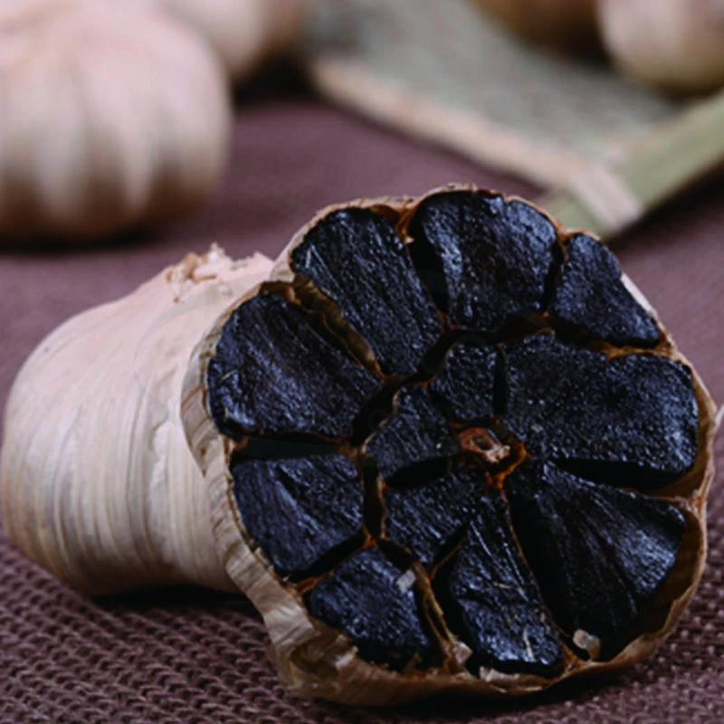 Black Giant Garlic for Japan Market