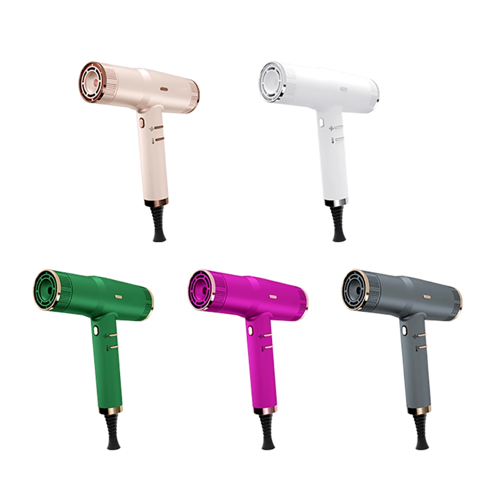 Blow Dryer, Lonic Hair Dryer, High Speed Brushless Motor Blow Dryer