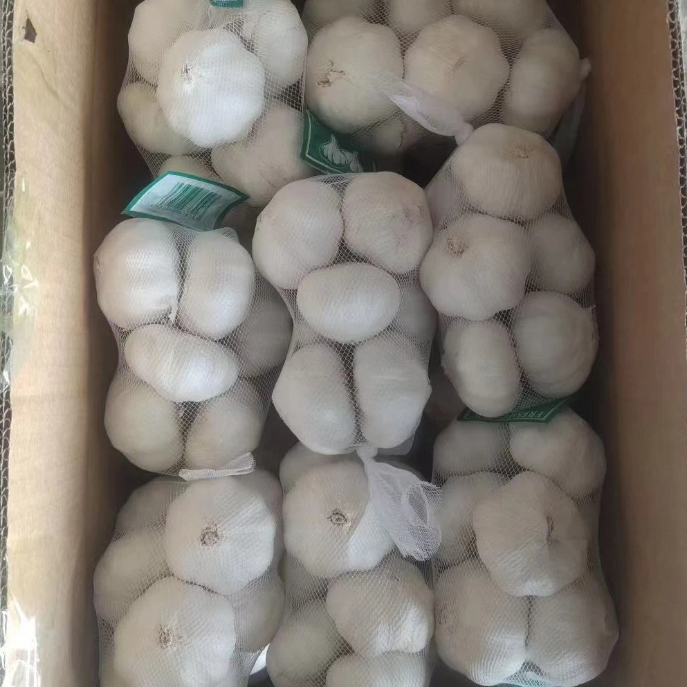 2022 High Quality China Agriculture Products New Crop Fresh Garlic 4.5cm~7.0cm Pack