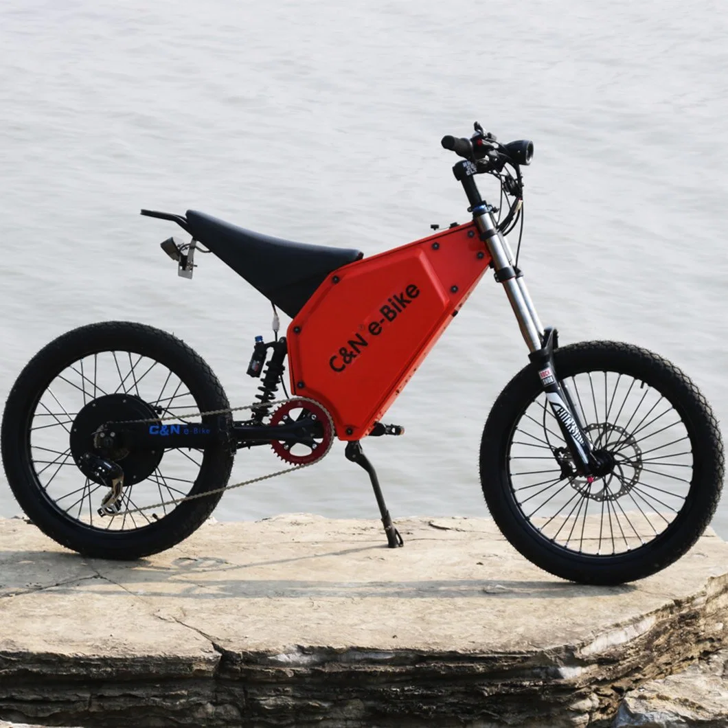 Full Suspension Ebike Electric Bicycle Fat Tire Electric Bike Electric Scooter 5000W Leili