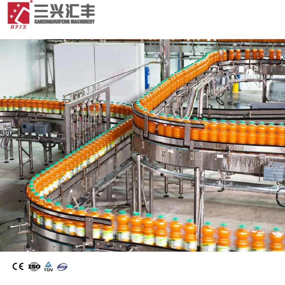 Hot Sale Flavored Water Filling Machine Production Line for Litchi / Strawbeery / Apple Taste