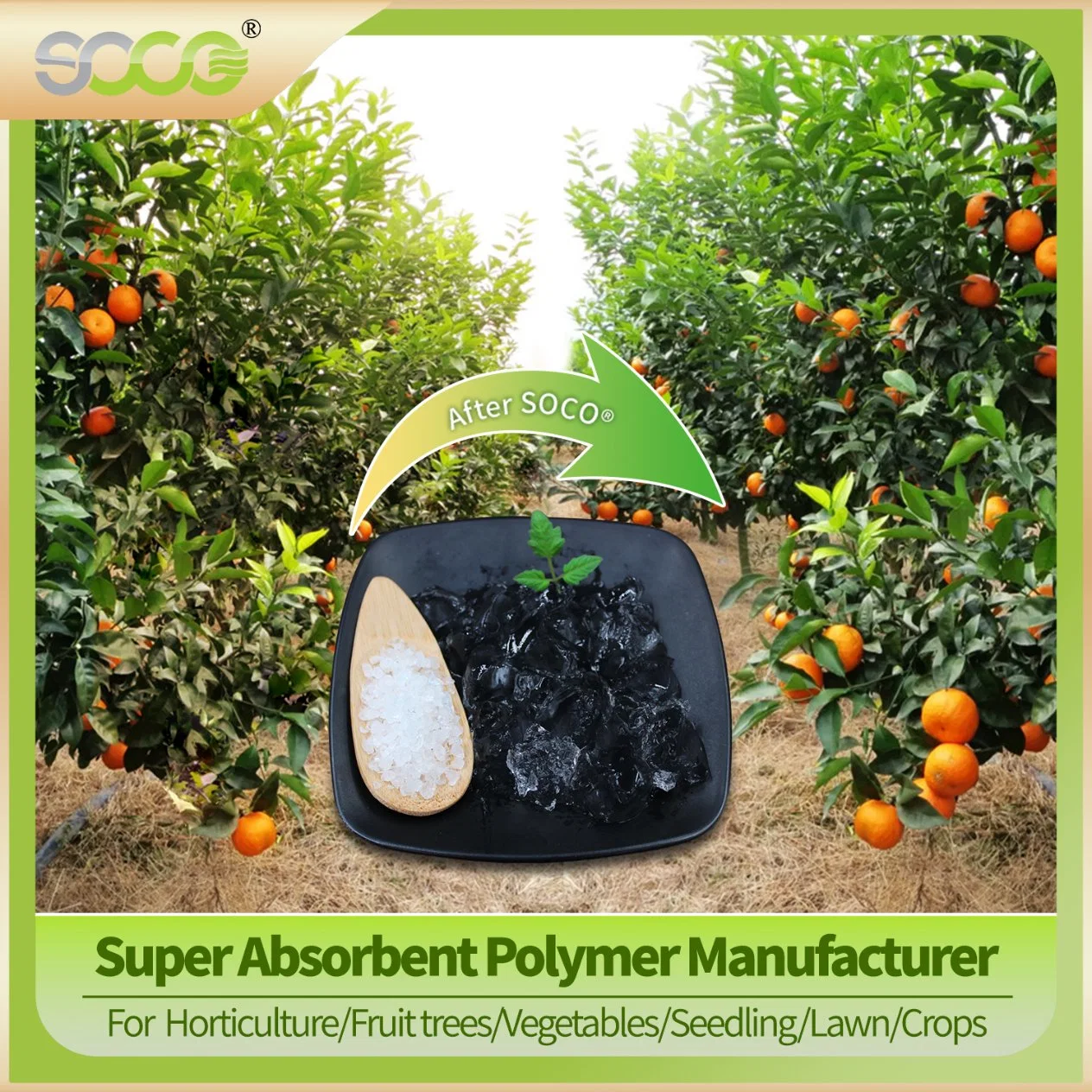 Super Absorbent Polymer Manufacturer Sap Powder, Potassium Polyacrylate Hydrogels, Water Gel Polymer Price for Garden Plants, Agricultural Crop, Forestry