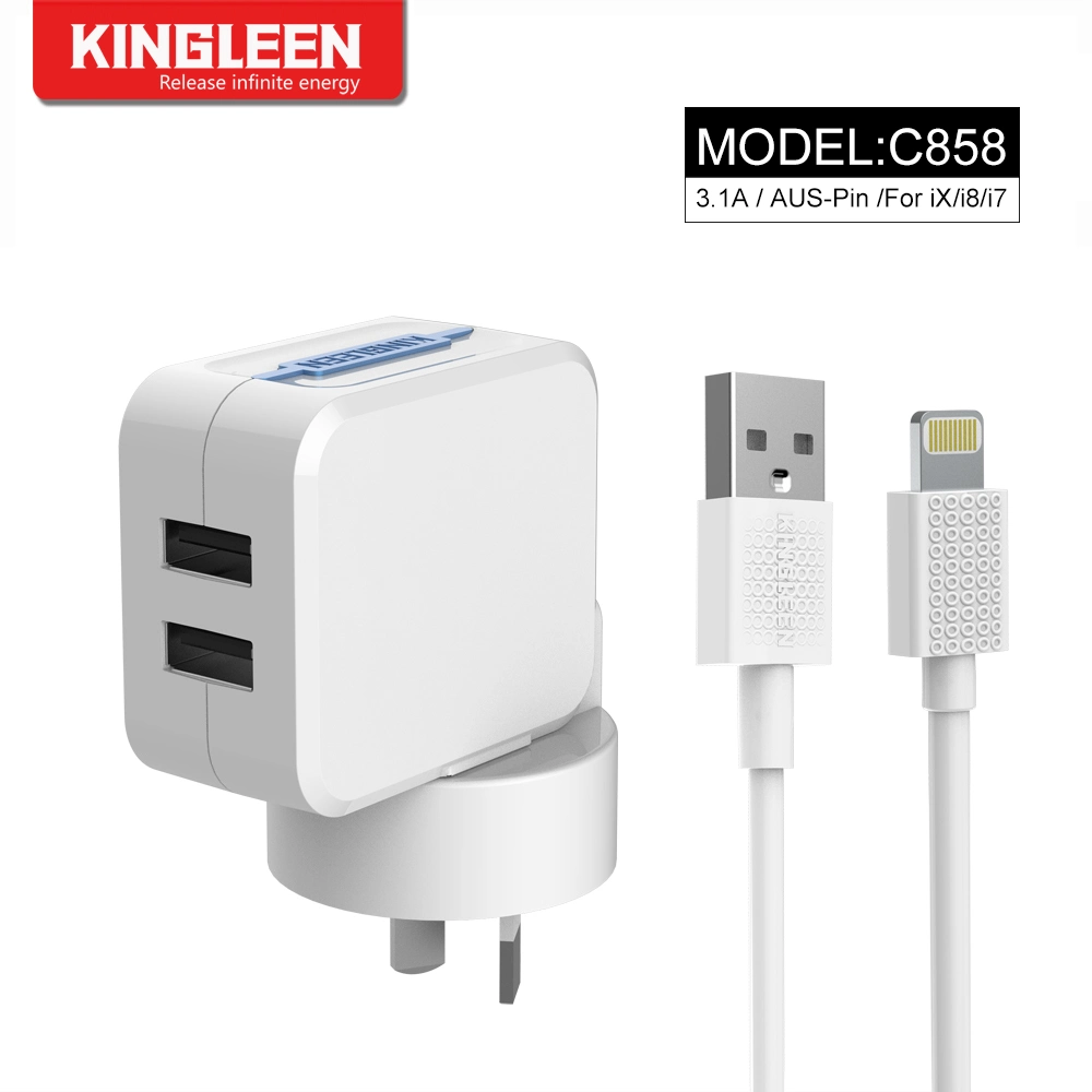 Bouchon de l'ASA à double paroi de l'iPhone chargeur de voyage USB avec câble de la foudre