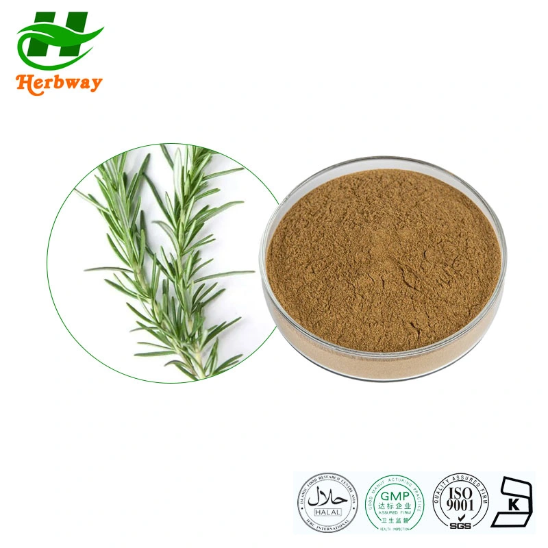 Herbway Kosher Halal Fssc HACCP Certified Rosmarinus Officinalis L. Wholesale/Supplier Price Rosmarinic Acid Rosemary Extract