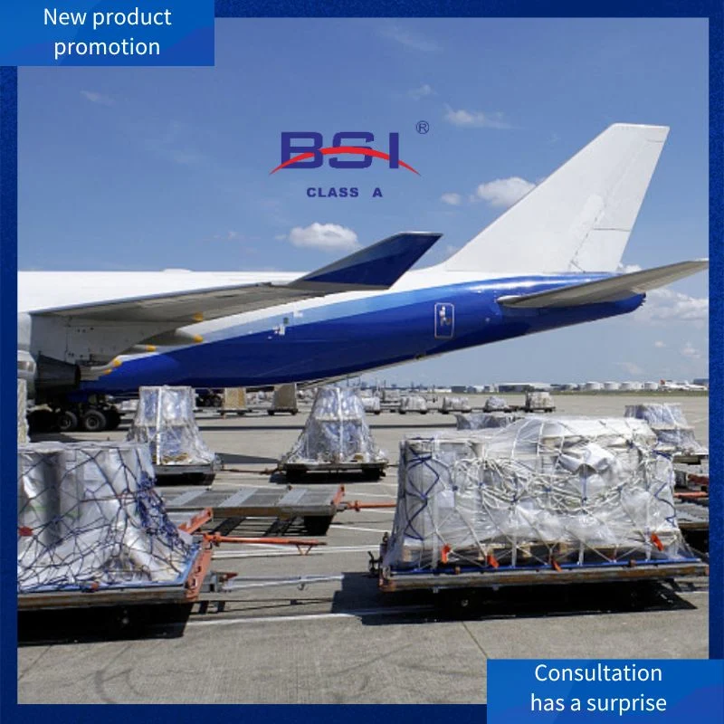 Professional Air Freight Service Sea Freight From Guangzhou, Ningbo, Shanghai, Xiamen, Qingdao to Algiers, Algeria