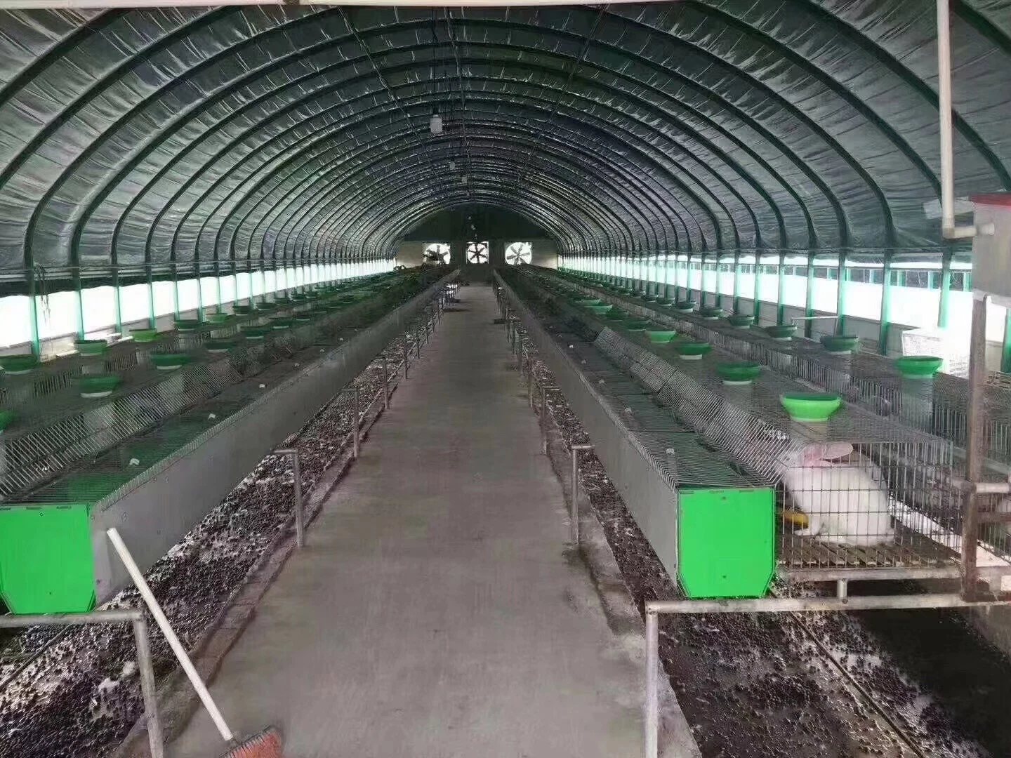 Two Layers of Elliptical Beam Film Sunlight Solar Greenhouse with Air Insulation Wall for Tomato/Cucumber/Cherry