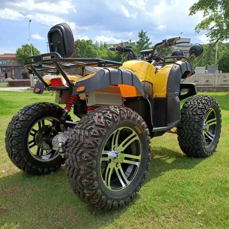 عجلات 4000W ذات 4 عجلات تقود سيارة دفع رباعي دفع رباعي ATV الكهربائية للبالغين