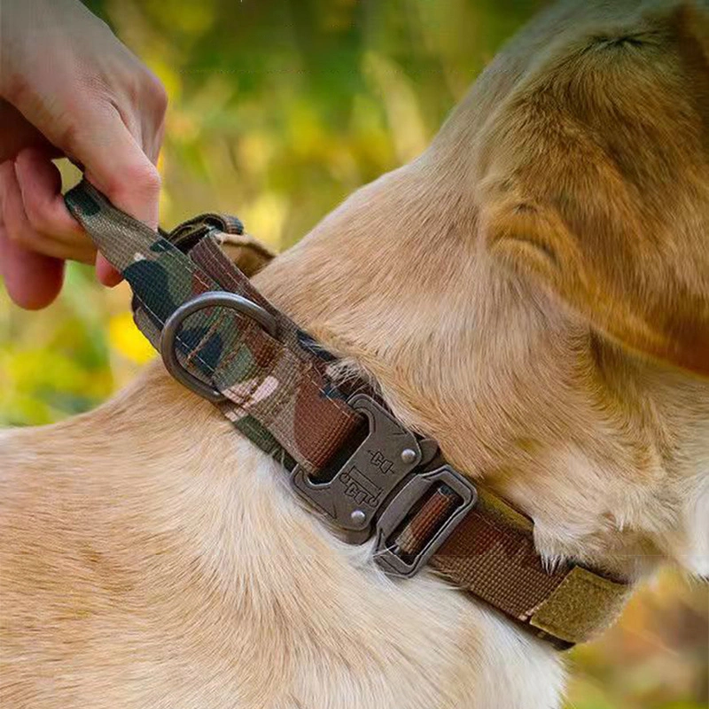 Collar de perro de tácticas de Pet de nylon con mango