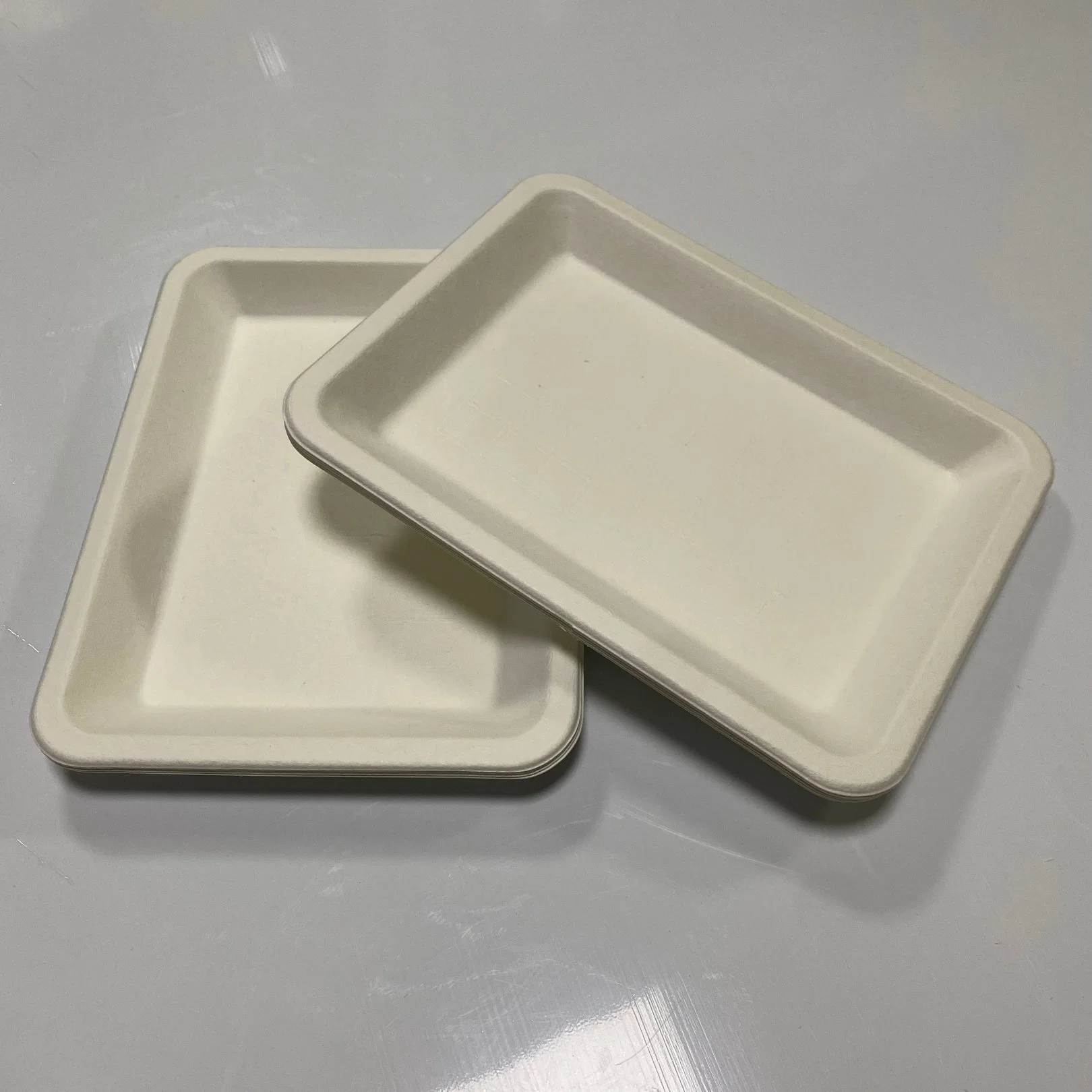 Home Compost with Hight Quality Eco-Friendly Biodegradable Food Tray Sugarcane Bagasse Paper Pulp Tableware Biodegradable Trays Disposable Food Holder