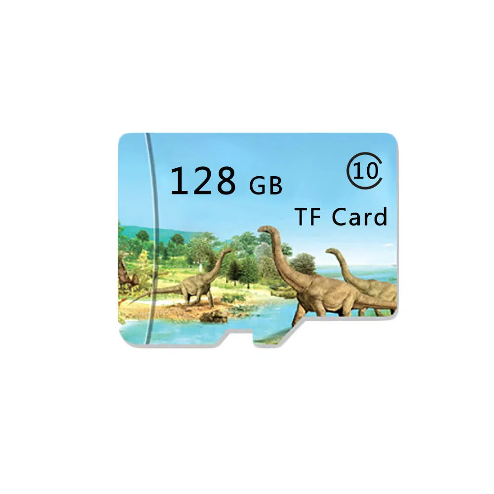 Memory Card Use for Mobile Phone Camera Speed U1 U3 C4 C10 8GB 16GB 32GB 64GB 128GB 256g for Laptop