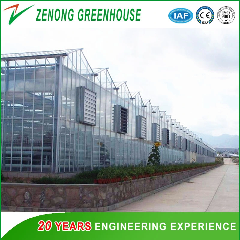 Modern Design Glass Greenhouse with Hot Galvanized Steel Framework Used for Agriculture/ Stock Farming/ Aquaculture/ Restaurant/ Scientific Research