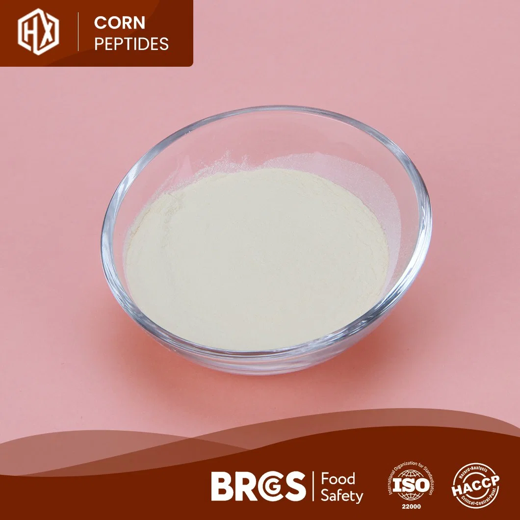 Haoxiang Food Grade 100% Hydrolyzed Corn Peptide Wholesale/Supplier Customized Private Label Cornbean Collagen Peptide Powder for Keeping Moisture and Anti-Aging