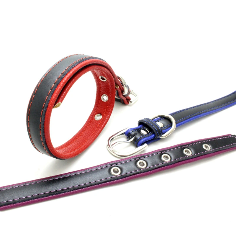 Hot Selling Double Leather Comfort Substrate Belt Type Pet Collar