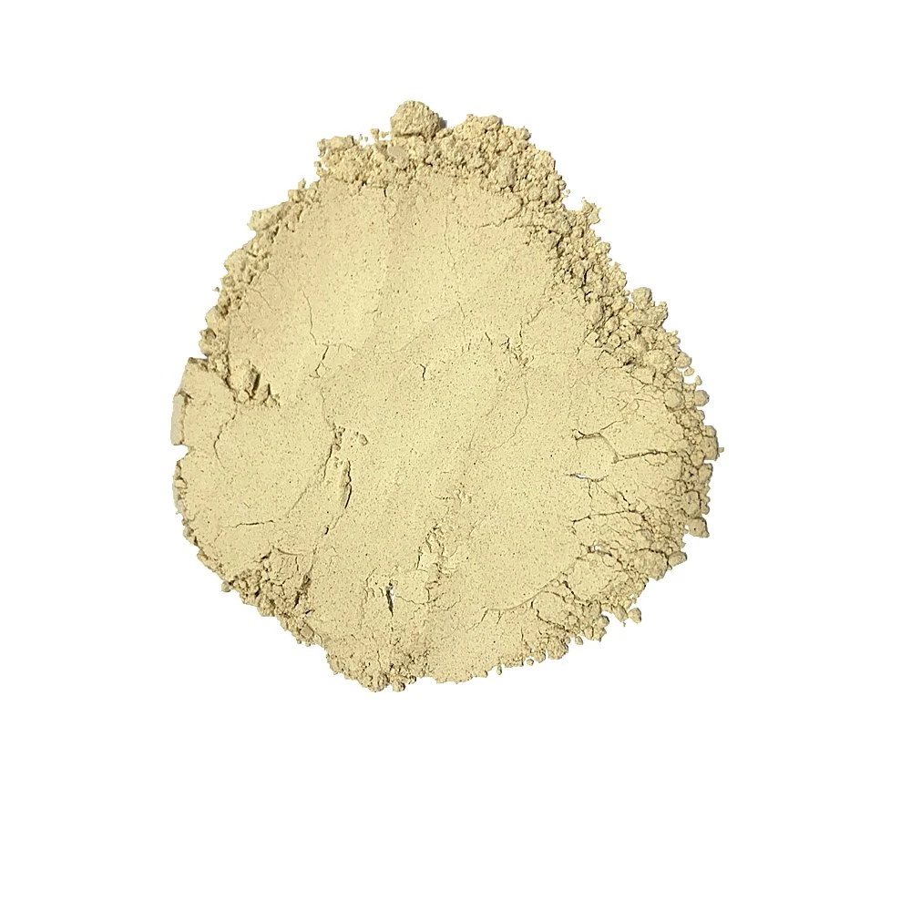 Top Quality Light Selected Healthy Dried Shitake Mushroom Powder