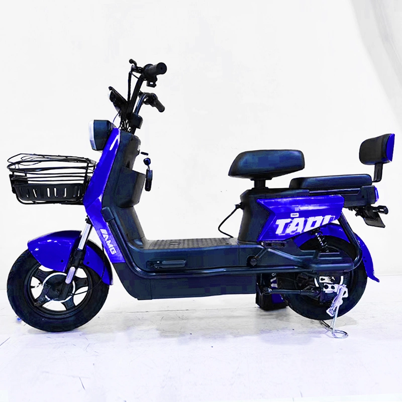 Factory Direct Sales E Bike Storage Electric Bicycle Battery Electric Scooters City Bike Motorcycle Adult 700W 60V