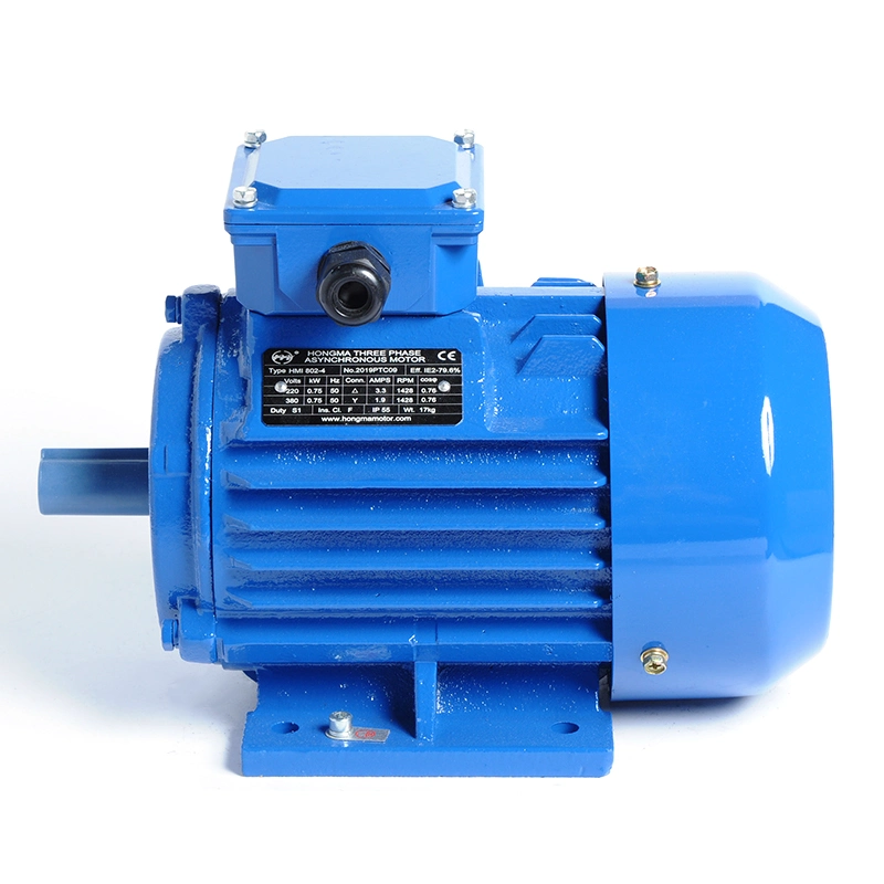 Hydraulic Pump with Electric Motor