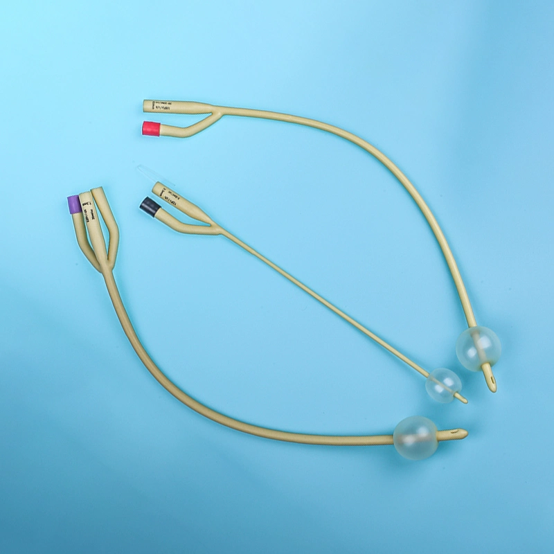 Medical Disposable Sterile Urethral Catheters Foley Catheter 2 Way/3 Way