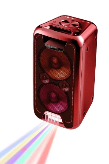 Professional Audio Wireless Bluetooth Portable DJ Karaoke Party Speaker ED-502