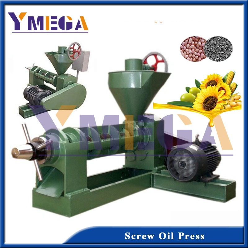 Low Temperature Oil Production Automatic Screw Cold Press