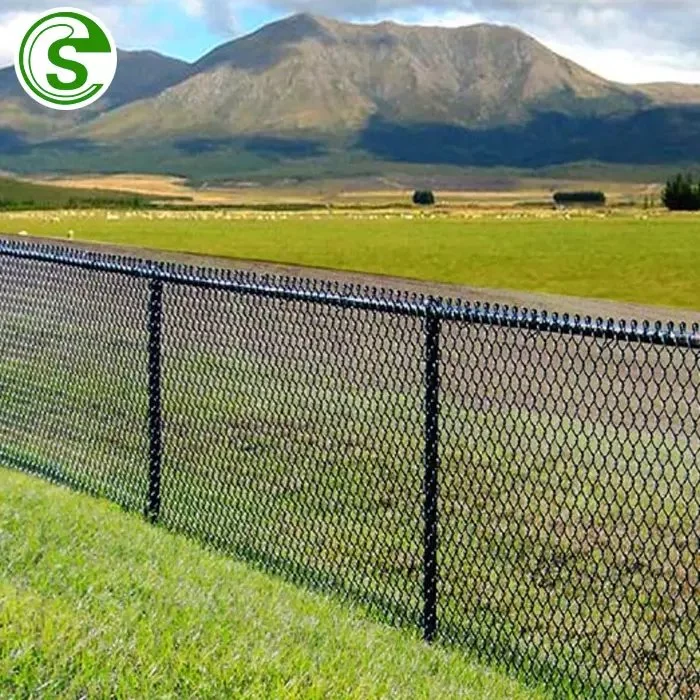 Factory Price Diamond Wire Mesh PVC Coated Chain Link Fence for Garden