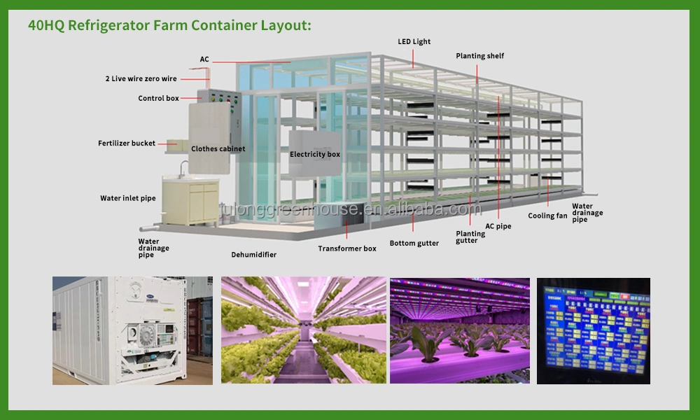 Hydroponics System in Greenhouse for Growing and Annimal Feed