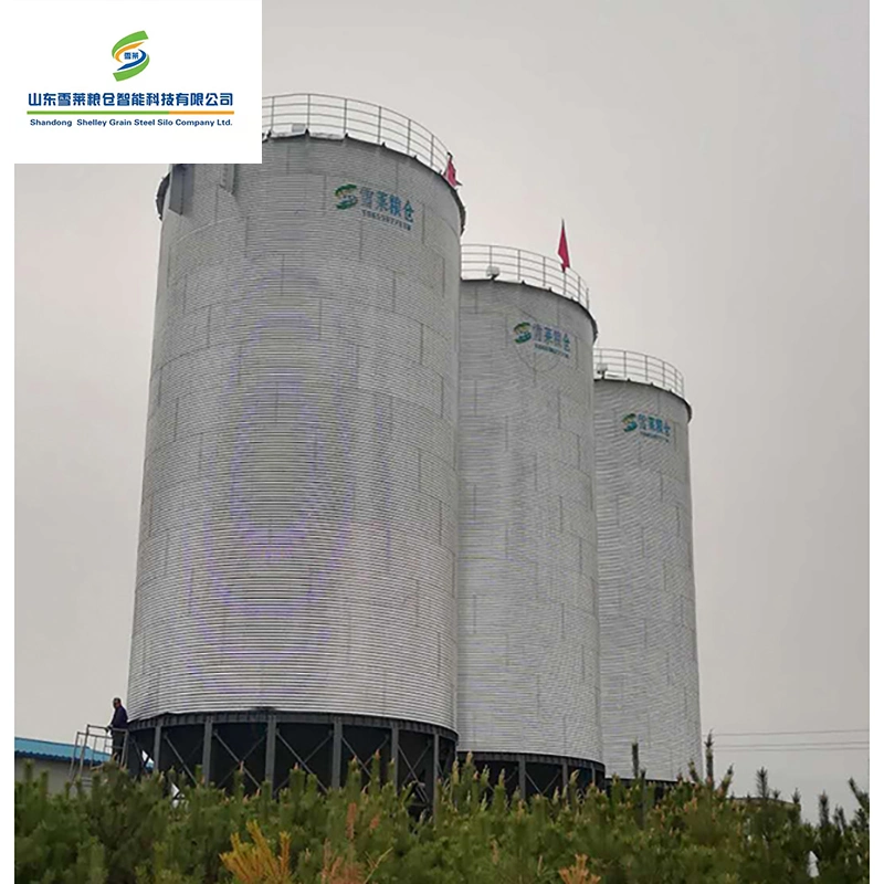 Shelley silo de maíz de alta humedad de la torre de alimentación de acero de China Proveedores de silos de chapa de acero atornillado general de almacenamiento de grano de arroz cáscara inferior de la tolva de Silo silo