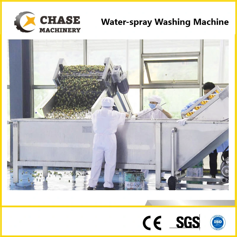 Pet/Glass Bottle Orange/Mango Juice Production Line From Shanghai Chase