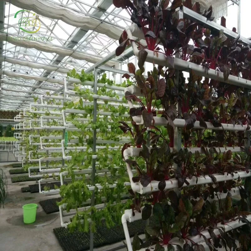 Chinese Supplier Multi-Span Greenhouse with Vertical Hydroponics System for Flowers/Vegetables Planting