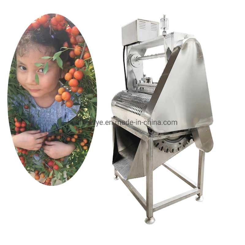 Green Plum Blueberry Cherry Olive Dates Pitting Machine Electric Cherry Pitter