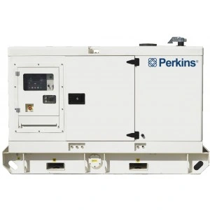 Professional Emergency Generator with Perkins